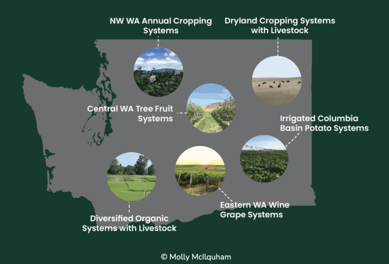 Image of Washington State that highlights six locations in the WaSHI LTARE site network 